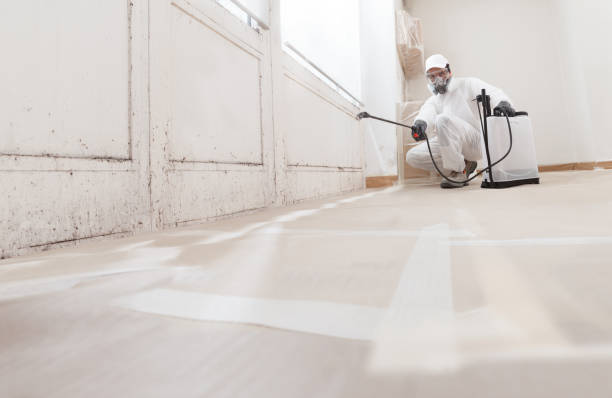 24/7 Emergency Mold Remediation experts in Richmond, KY